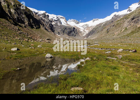 Reflexionen in einem kleinen Teich im Maurertal, Nationalpark Hohe Tauern, Österreich Stockfoto