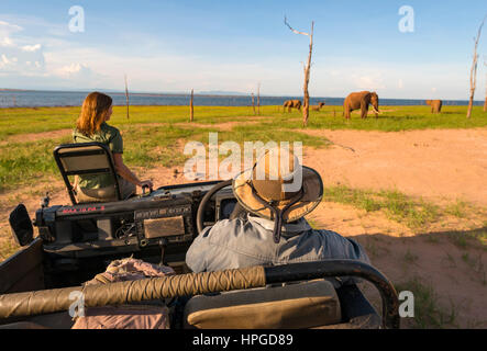 Touristen beobachten Elefanten in Simbabwe Matusadona National Park. Stockfoto