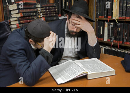 Zwei orthodoxe jüdische junge Männer studieren Talmud zusammen in einer Synagoge in Brooklyn, New York. Stockfoto