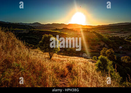 Ein Lichtstrahl durchbricht den dramatischen Himmel bei Sonnenuntergang und prallte gegen einen einsamen Baum auf einem Hügel. Eine Landschaft-Szene in Andalusien, Spanien Stockfoto