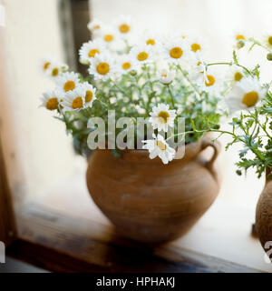 Einen Topf mit weißen Blumen auf der Fensterbank. Stockfoto