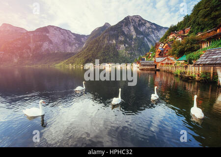 Malerischen Panoramablick auf den berühmten Bergdorf in den österreichischen Alpen. Hallstatt. Österreich Stockfoto