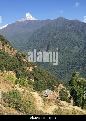 Anzeigen Fishtail Berg und Annapurna Himalaya Nepal Reihe anzeigen während Ghandruk Village in Kaski, Nepal trekking. Stockfoto