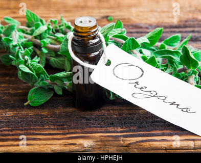 Ätherisches Öl Flasche Oregano Kraut mit frischem Oregano Blätter Stockfoto