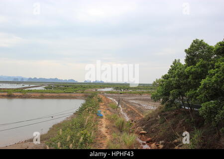 Oyster Pearl Farm für Perlen und medizinische Verwendung Stockfoto