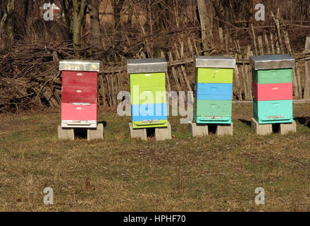 Bienenstock auf einer Wiese Stockfoto