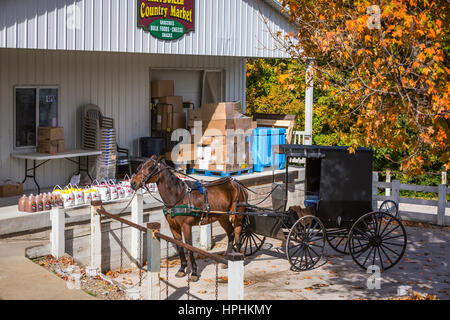 Eine amische Pferd und Buggy auf einem Bauernmarkt in Maysville, Ohio, USA. Stockfoto