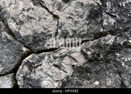 Nahaufnahme einer gebrochenen Kalkstein Oberfläche. Sedimentgestein Stockfoto