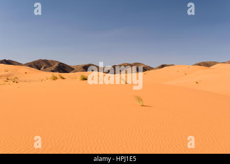 Blick über Sanddünen in der Wüste Sahara Ouzina mit einigen schwarzen Bergen im Hintergrund, Marokko. Stockfoto