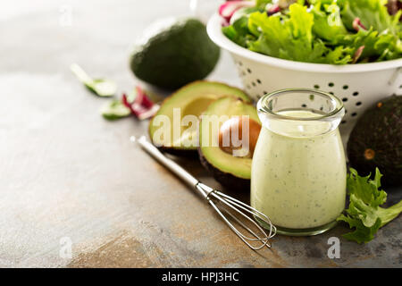 In kleinen Glas mit Salat Avocado Ranchbehandlung verlässt in einem Collander mit Textfreiraum Stockfoto