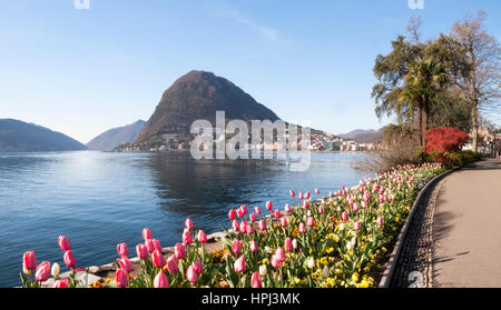 Lugano, Schweiz: Parco Ciani, Stadtgarten mit frischen Blumen der aktuellen Saison. Intensive Farbe der Blüten an einem feinen Frühlingstag. Stockfoto