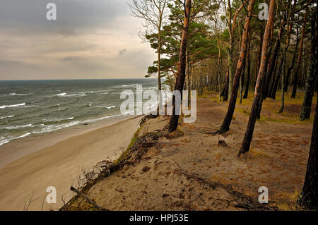 Holländer Cap, Ostsee, Litauen. Stockfoto