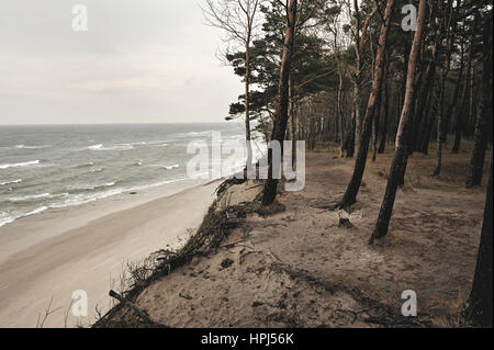 Holländer Cap, Ostsee, Litauen. Stockfoto