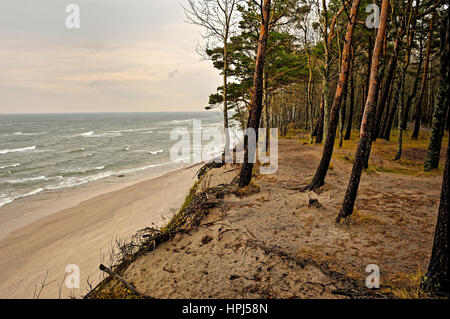 Holländer Cap, Ostsee, Litauen. Stockfoto