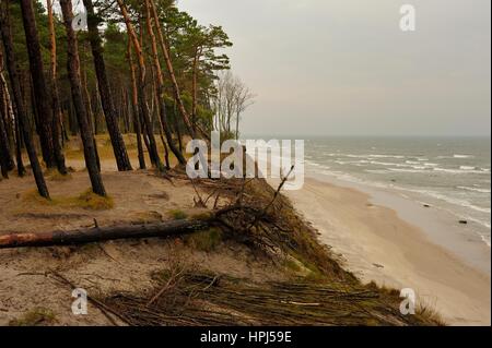 Holländer Cap, Ostsee, Litauen. Stockfoto