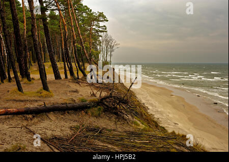 Holländer Cap, Ostsee, Litauen. Stockfoto