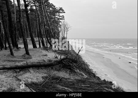 Holländer Cap, Ostsee, Litauen. Stockfoto