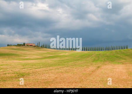 Toskana Landschaft, schönen grünen Hügeln und Zypresse Reihe Frühling in Italien, Europa Stockfoto