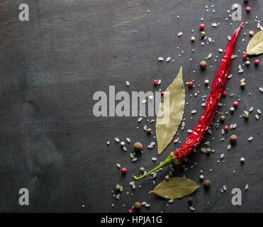 Rote Paprika, scharfe Gewürze und Lorbeerblatt auf dem schwarzen Baum. Ansicht von oben. Platz für Text. Stockfoto