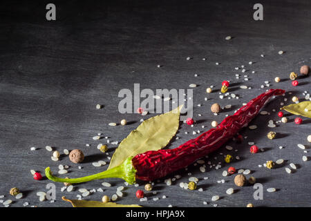 Rote Paprika, scharfe Gewürze und Lorbeerblatt auf dem schwarzen Baum. Ansicht von oben. Platz für Text. Stockfoto