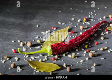 Rote Paprika, scharfe Gewürze und Lorbeerblatt auf dem schwarzen Baum. Ansicht von oben. Platz für Text. Stockfoto