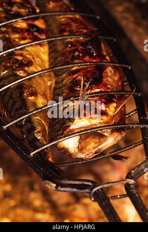 Makrele Fisch auf dem Grill. Geringe Schärfentiefe Stockfoto