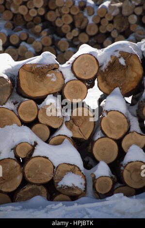 Gestapelte Kaminholz Bauholz Protokolle Icovered im Schnee. Ein weiterer Stapel von Protokollen im Hintergrund. Stockfoto