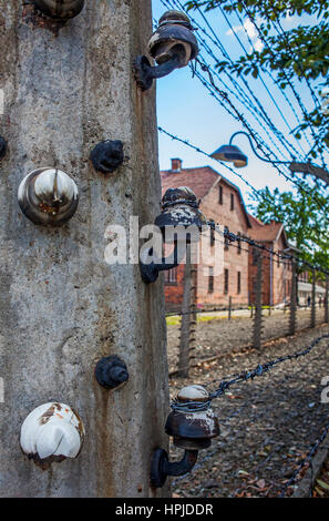 Detail der Elektrozaun, KZ. Auschwitz. Polen Stockfoto