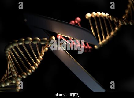 DNA-Strang in Metall-Farbe Schneiden mit einer Schere 3d render Stockfoto