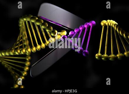 DNA-Strang in Metall-Farbe Schneiden mit einer Schere 3d render Stockfoto