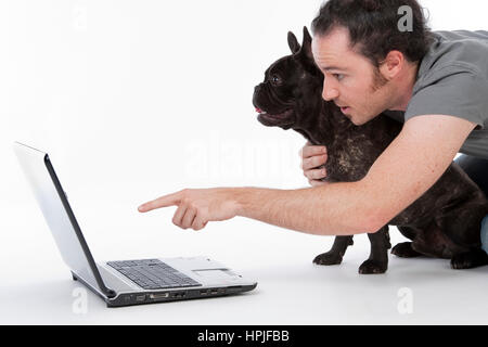 Modell veröffentlicht, Mann weitergeleitet Franzoesischer Bulldogge Etwas am Laptop - Mann mit französische Bulldogge mit laptop Stockfoto