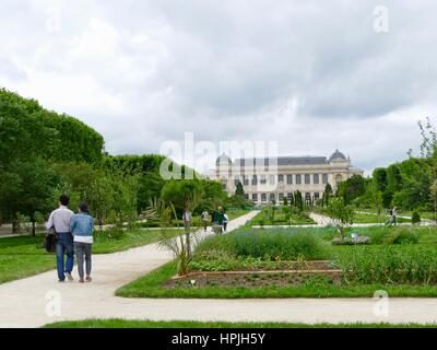 Auf der Suche nach einer langen Promenade in Richtung das Museum of Natural History (Museum d ' Histoire Naturelle). Jardin des Plantes, Paris, Frankreich Stockfoto