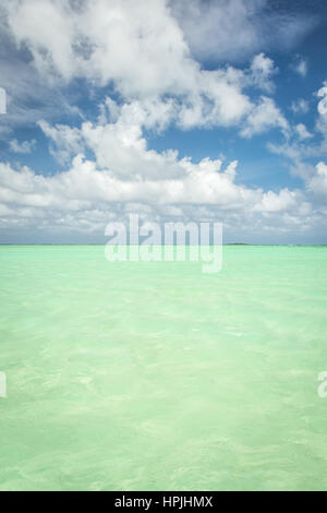 Kristallklarem smaragdgrünen Wasser von Hawaii. Stockfoto