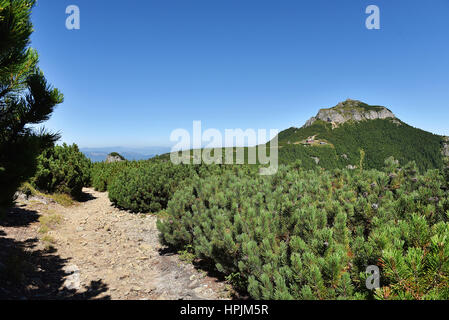 Berglandschaft. Ceahlau Berge, östlichen Karpaten, Rumänien Stockfoto