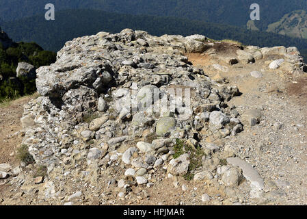 Textur des Konglomerat-Rock mit Kies, Klasten und Kiesel. Ceahlau Berge, Rumänien Stockfoto