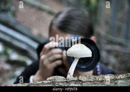 Frau, die eine Nahaufnahme Bild eines Pilzes im Wald Stockfoto