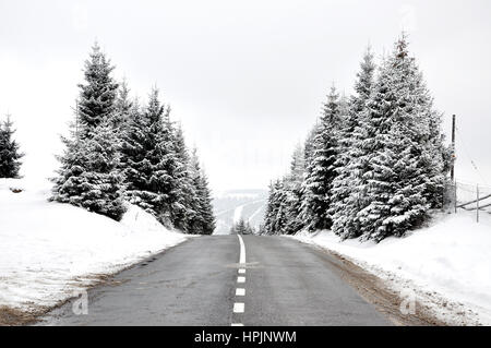 Straße, die durch einen Frost bedeckt Wald Stockfoto