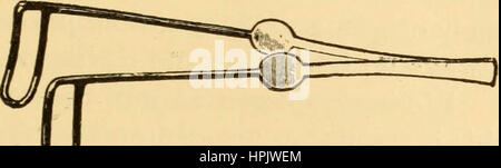 "Erkrankungen des Ohrs: ein Lehrbuch für Praktiker und Studenten der Medizin" (1900) Stockfoto