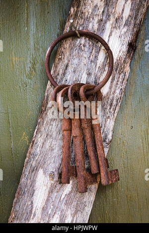 Close-up erschossen vier rostigen alten Schlüssel hängen an einem Nagel auf einem verwitterten Brett Iagainst einen grünen Hintergrund n Austin, Texas Stockfoto