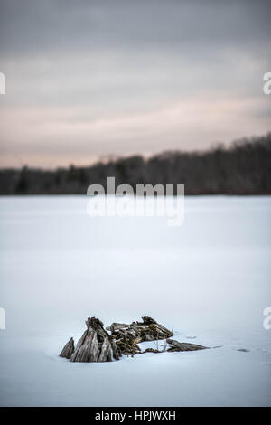 Winter Albro See bedeckt von Schnee mit verdorrten Baum in Dartmouth Stockfoto