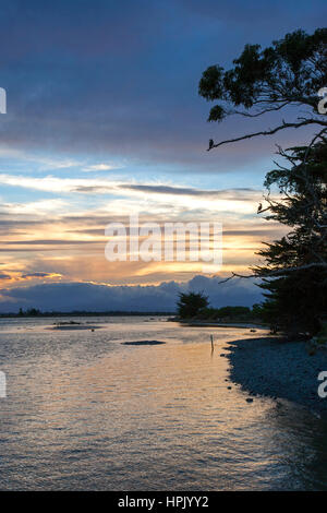 Blenheim, Marlborough, Neuseeland. Anzeigen auf der Wairau River Mündung an Wairau Bar, Abenddämmerung, Trauerschnäpper Shag (Phalacrocorax Varius) erkennbar. Stockfoto