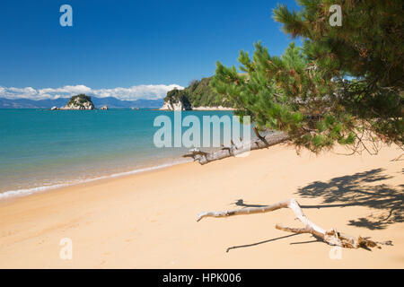 Kaiteriteri, Tasman, Neuseeland. Blick über Tasman Bay vom Sandstrand am kleinen Kaiteriteri, Torlesse Rock sichtbar vor der Küste. Stockfoto