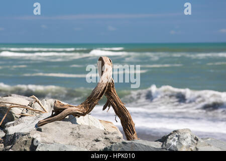 Hokitika, West Coast, New Zealand. Treibholz angespült auf felsigen Ufer durch mächtige Wellen von der Tasmansee. Stockfoto