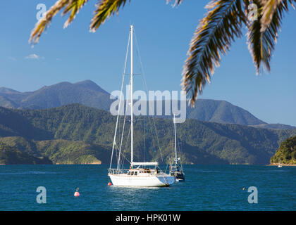 Picton, Marlborough, Neuseeland. Blick über Picton Hafen zum Queen Charlotte Sound, Yachten vor Anker. Stockfoto