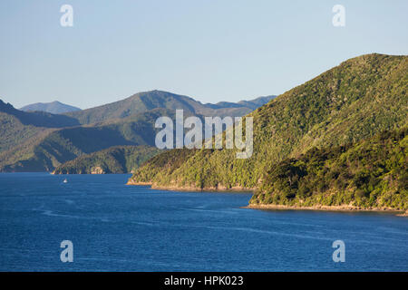 Picton, Marlborough, Neuseeland. Blick über Picton Hafen zur Halbinsel Schnauze und Queen Charlotte Sound, Abend. Stockfoto