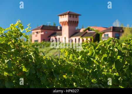 Blenheim, Marlborough, Neuseeland. Blick vom Weinberg auf dem Highfield-Weingut mit seinen berühmten toskanischen Stil Turm mit Blick auf das Tal des Wairau. Stockfoto