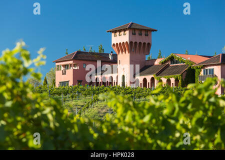 Blenheim, Marlborough, Neuseeland. Blick vom Weinberg auf dem Highfield-Weingut mit seinen berühmten toskanischen Stil Turm mit Blick auf das Tal des Wairau. Stockfoto