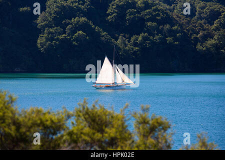 Picton, Marlborough, Neuseeland. Yacht unter vollen Segeln überquert die ruhigen Wassern des Grove Arm in der Nähe von Ngakuta Bay. Stockfoto