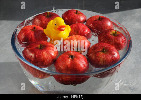 Ducking für Äpfel. Gelber Kunststoff Ente genießen einen guten Spritzer über in eine Schüssel mit Wasser und rote Äpfel. Stockfoto