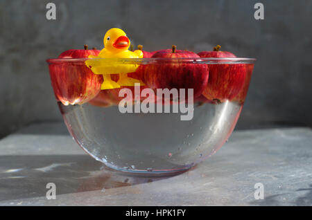 Ducking für Äpfel. Gelber Kunststoff Ente genießen einen guten Spritzer über in eine Schüssel mit Wasser und rote Äpfel. Stockfoto